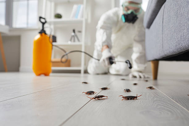 Trusted Fumigation Services service in Litchfield Beach, SC - Nex Pest Control