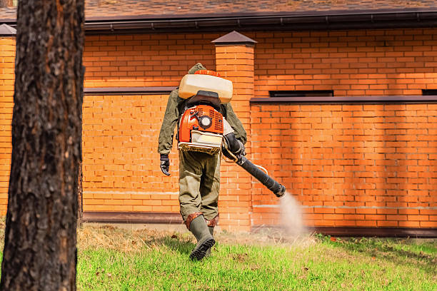 Trusted Ant Control service in Litchfield Beach, SC - Nex Pest Control
